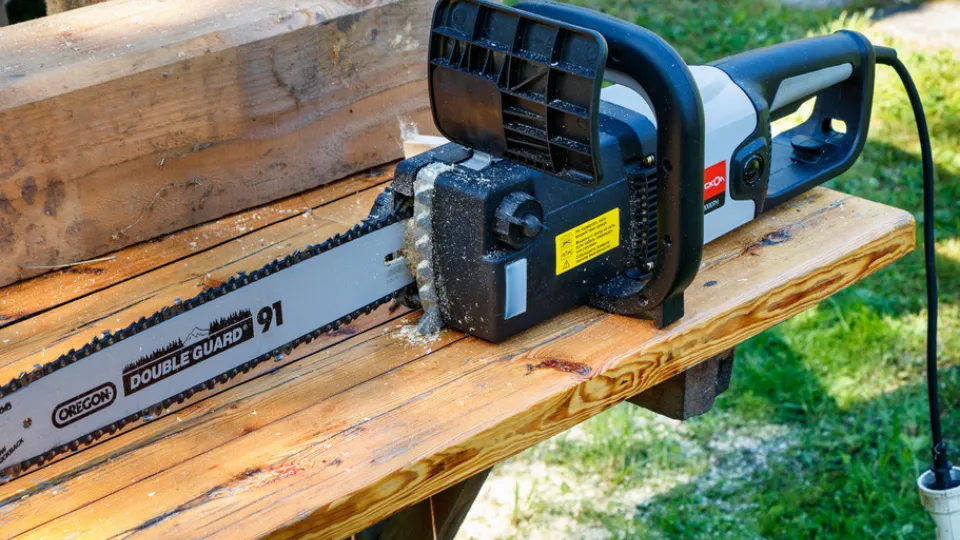 Фото: pxhere.com