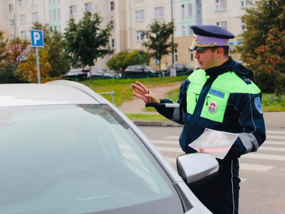 Фото: Госавтоинспекция Московской области