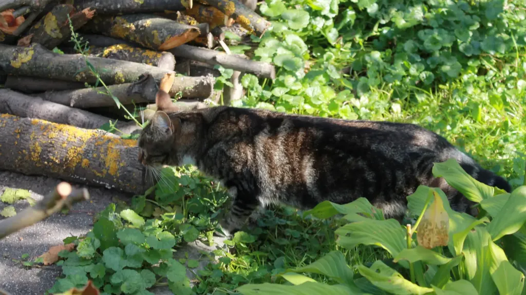 Фото: REGIONS/Илья Попов