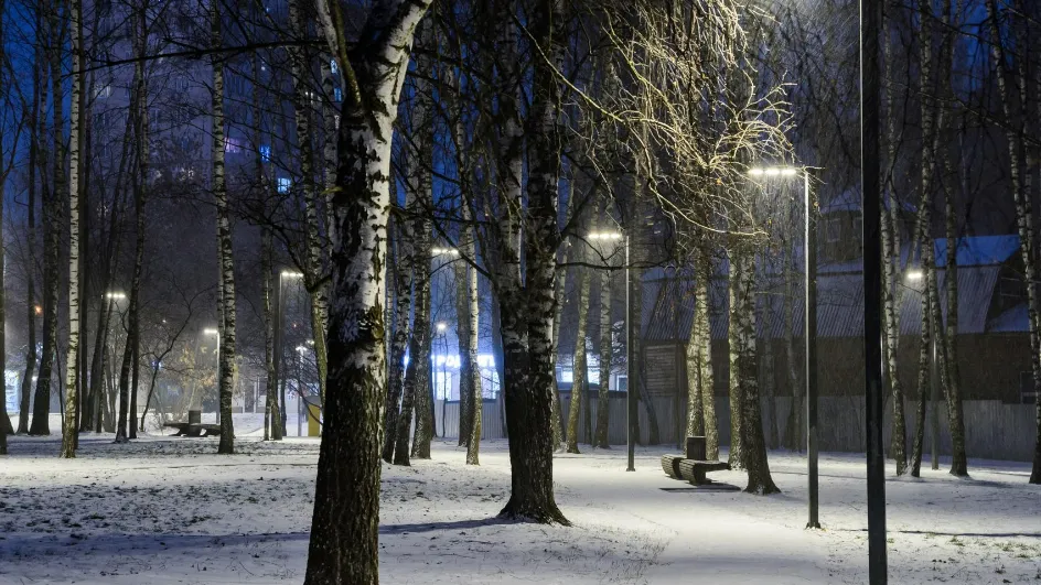 Фото: медиасток.рф