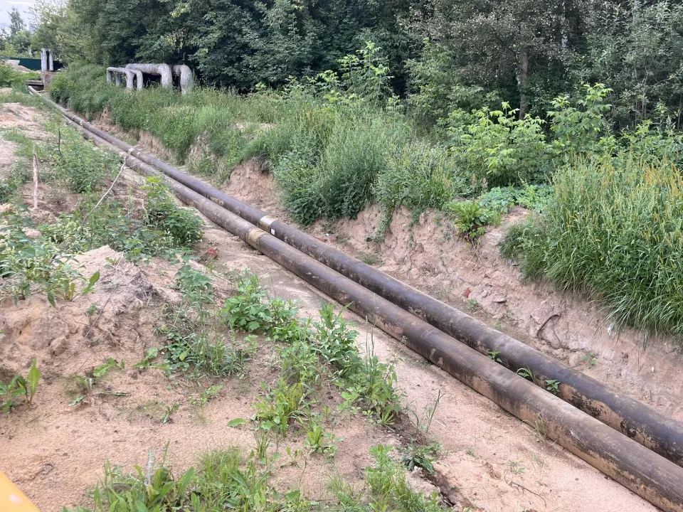 Фото: Ангелина Стельмух