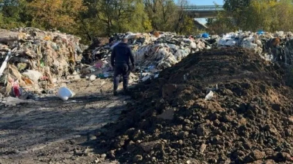 Фото: Министерство экологии и природопользования Московской области