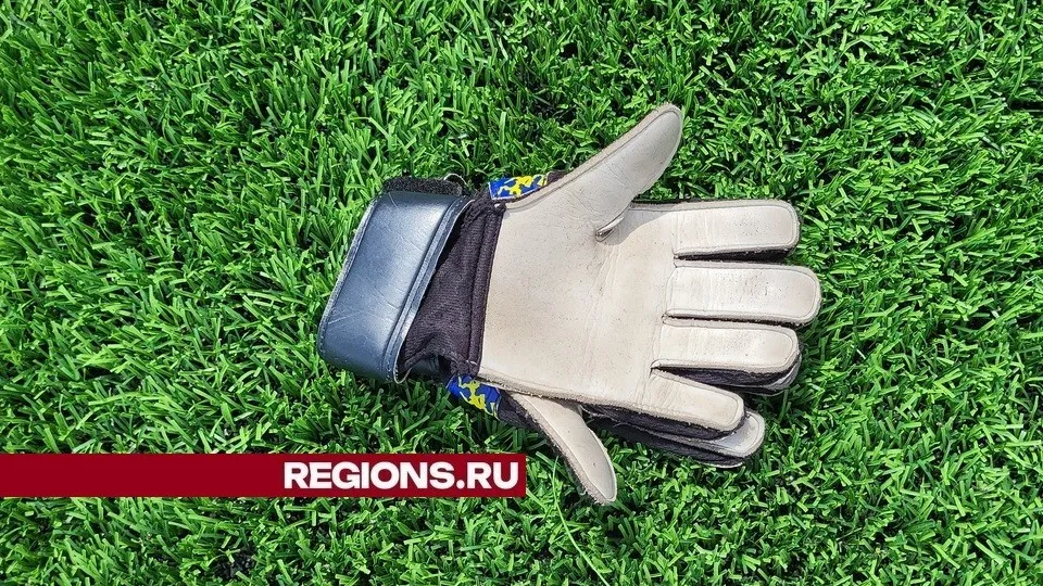 Фото: REGIONS/Александр Дрожжин