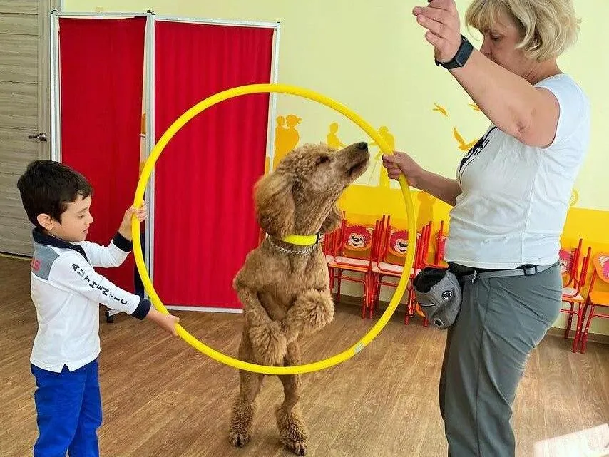 Картинка