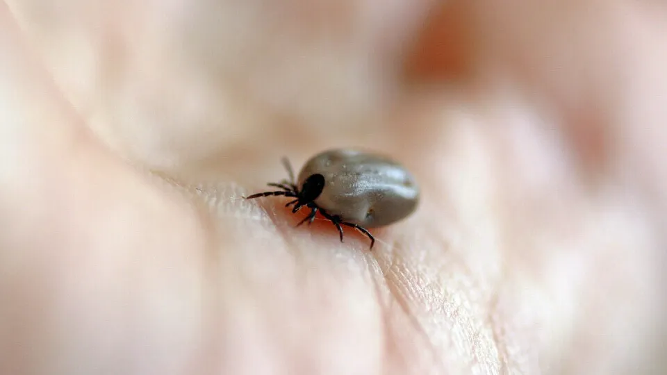 Фото: pxhere.com