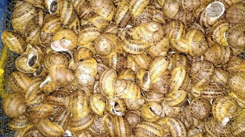 Минсельхоз МО