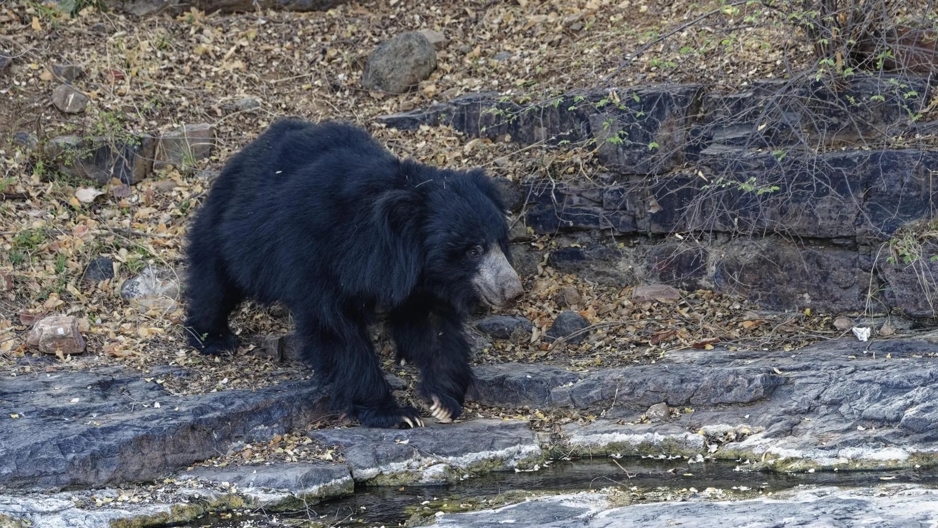 GTW/http://imagebroker.com/#/search/