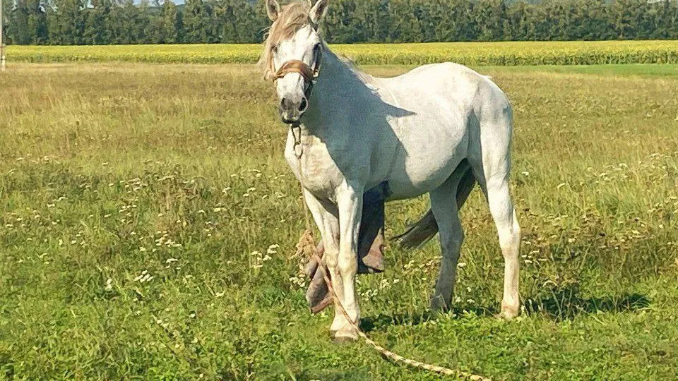 Фото: REGIONS/Антонина Гареева