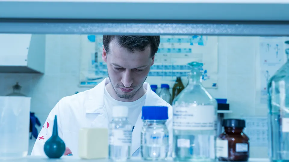 Фото: REGIONS/Наталия Надточая