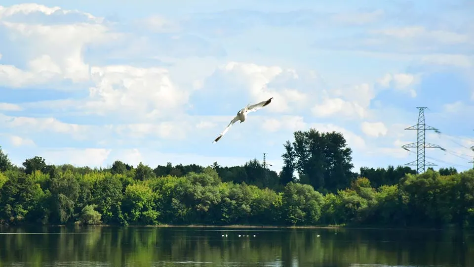 Фото: REGIONS/Оксана Лапшина