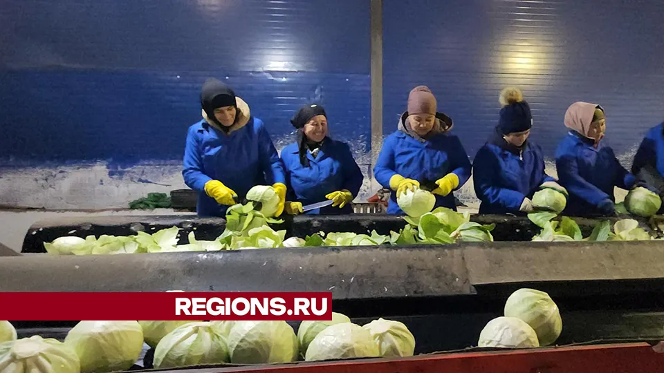 Фото: REGIONS/Валерий Гореловский