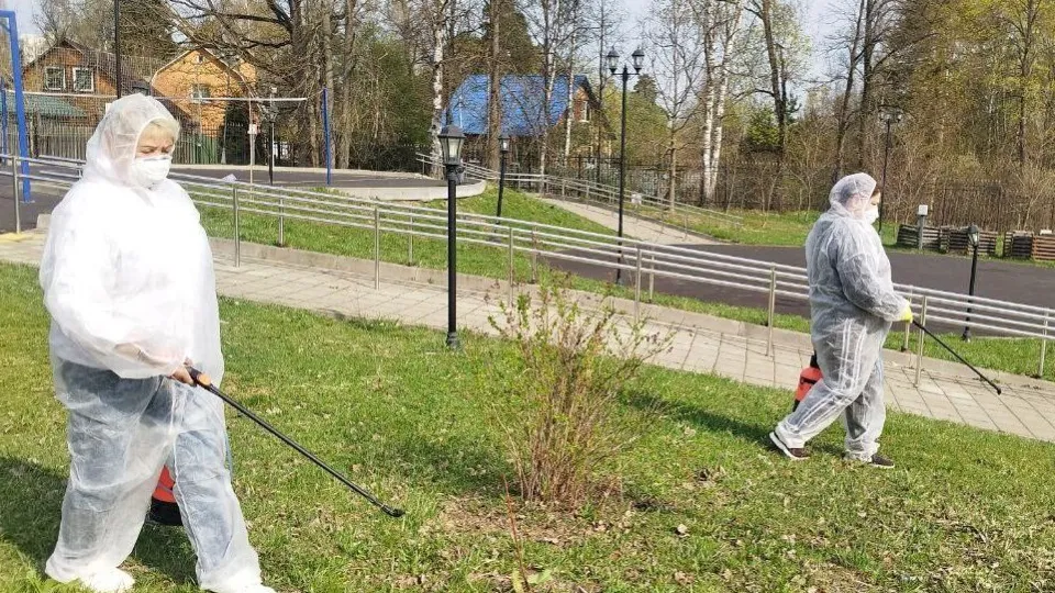 Фото: t.me/park_pokrovskiy