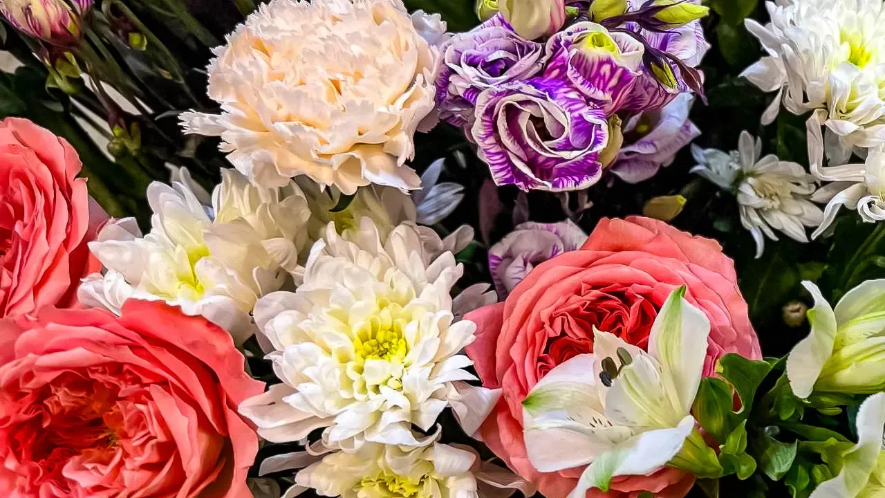 REGIONS/Дарина Левкина