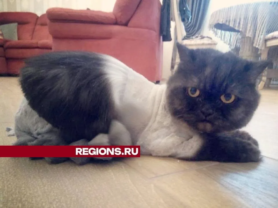 Модная стрижка&nbsp;«юбочка»