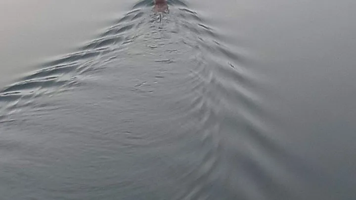 Фото: t.me/krasnoznamensklife