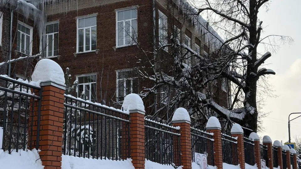 Фото: МедиаБанк Подмосковья/Анна Нестерова