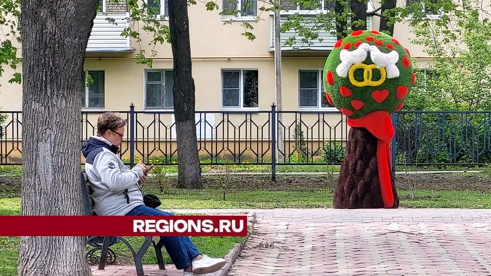 Фото: пресс-служба администрации городского округа Луховицы