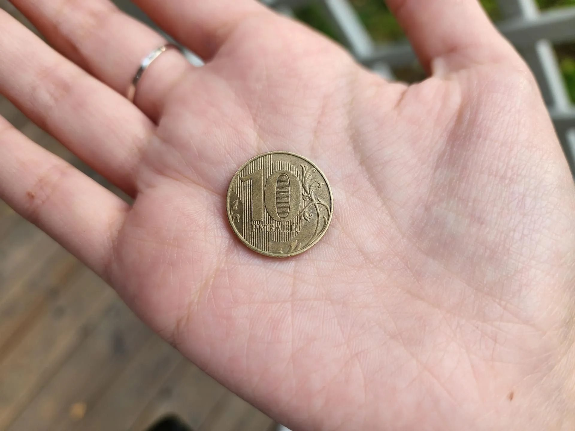 Светлана Плотникова