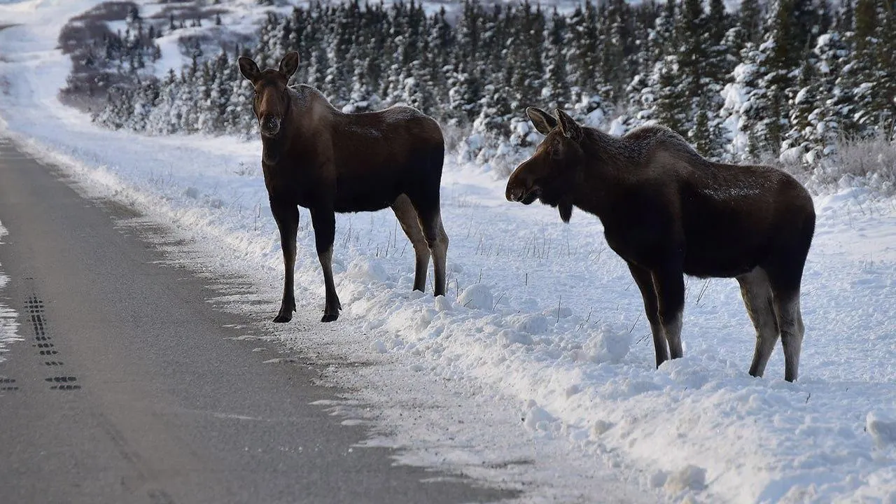 istockphoto.com/John Pennell