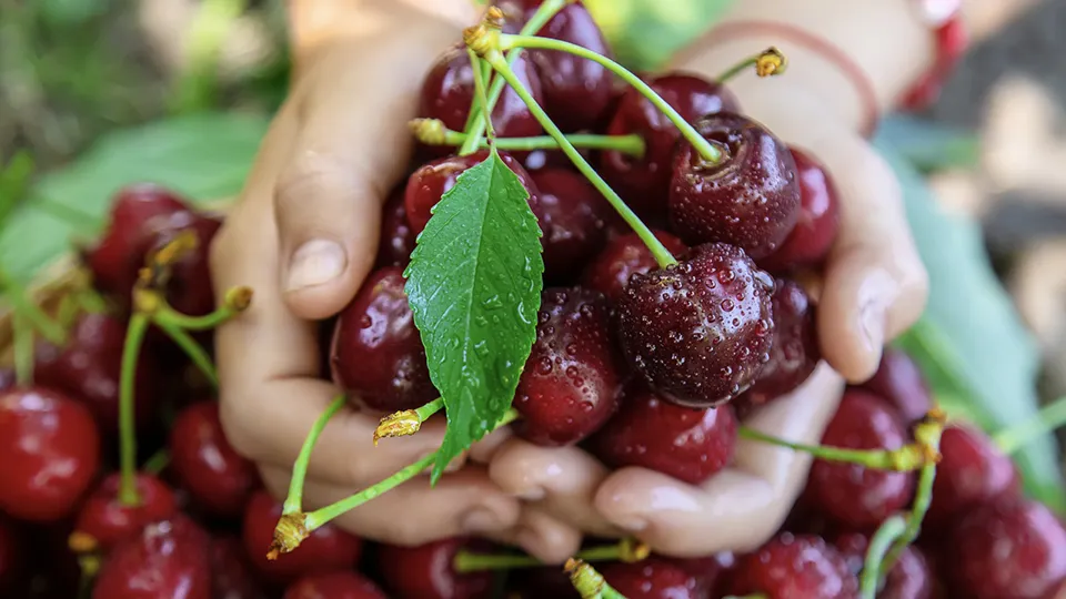 Фото: istockphoto.com