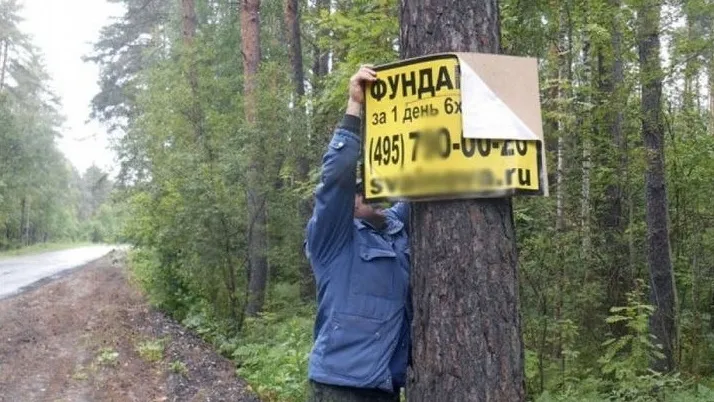 Фото: соцсети