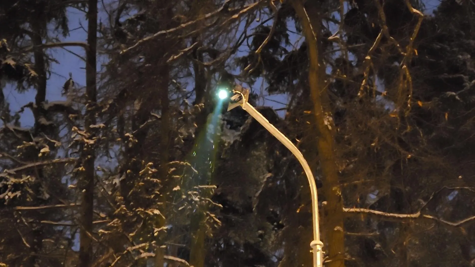 Фото: Никита Сморкалов