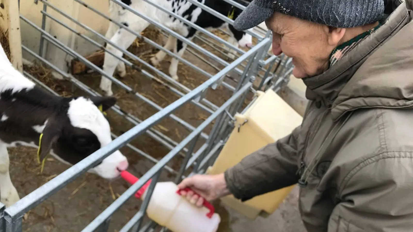 Фото: Минсоцразвития МО