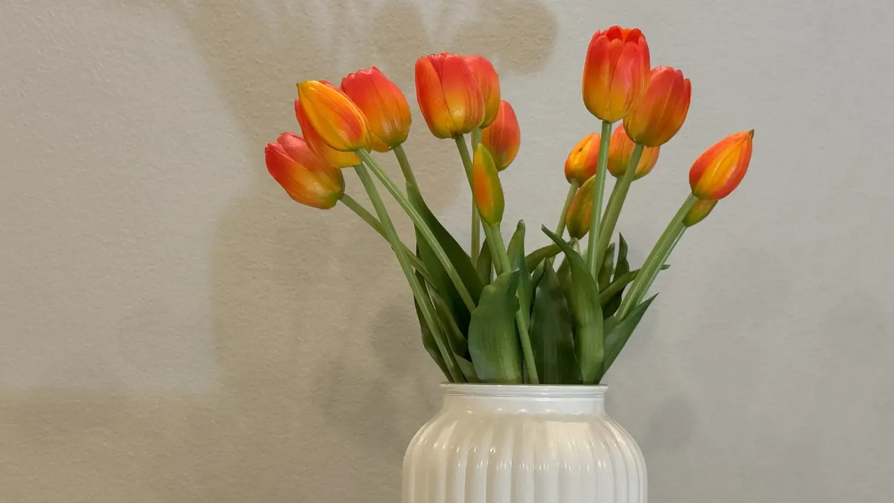 REGIONS/Илья Попов