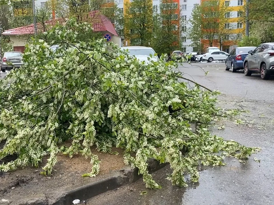 Фото: Елена Аботурова