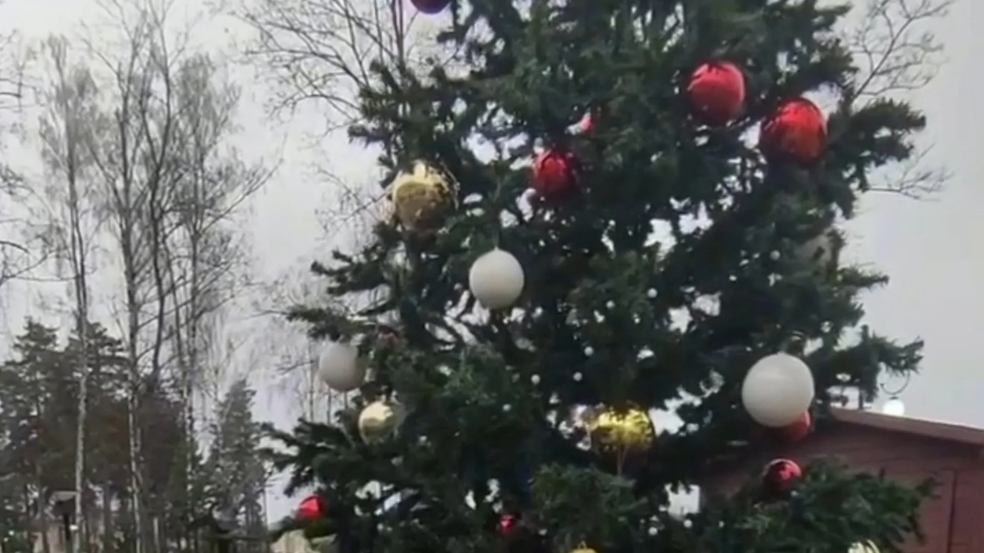 Фото: пресс-служба администрации г.о. Шатура