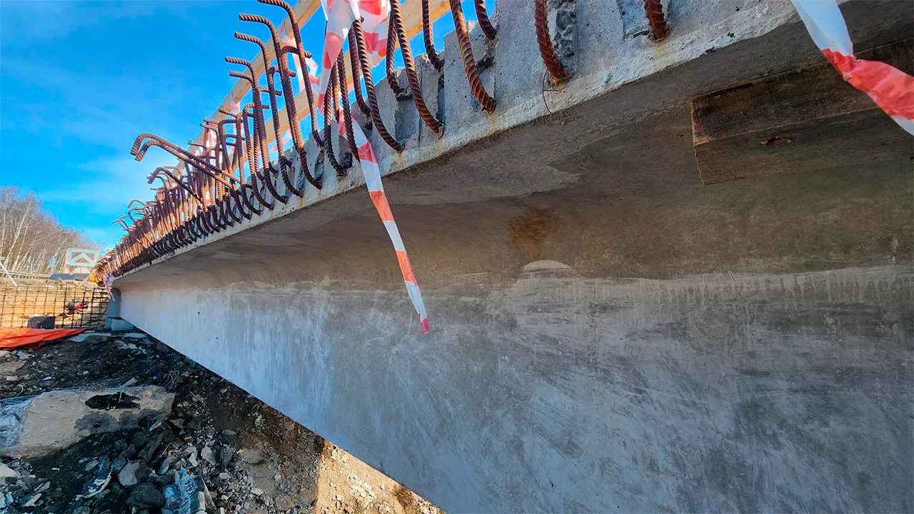 Маргарита Орлова