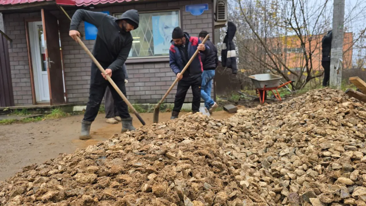 REGIONS/Яна Шаливская