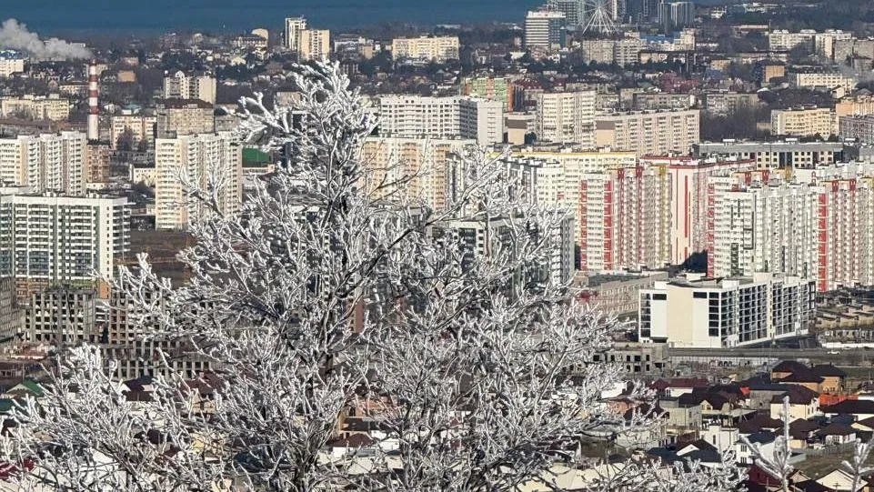 Министерство социального развития Подмосковья