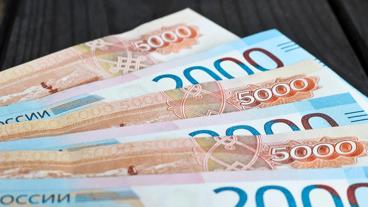 istockphoto.com/Svetlana Sarapultseva