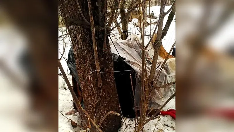 Бунгало бомжей обнаружили жители Дмитрова