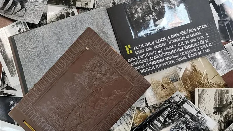 Историю школьного лесничества, созданного полвека назад, раскрыли в Подмосковье