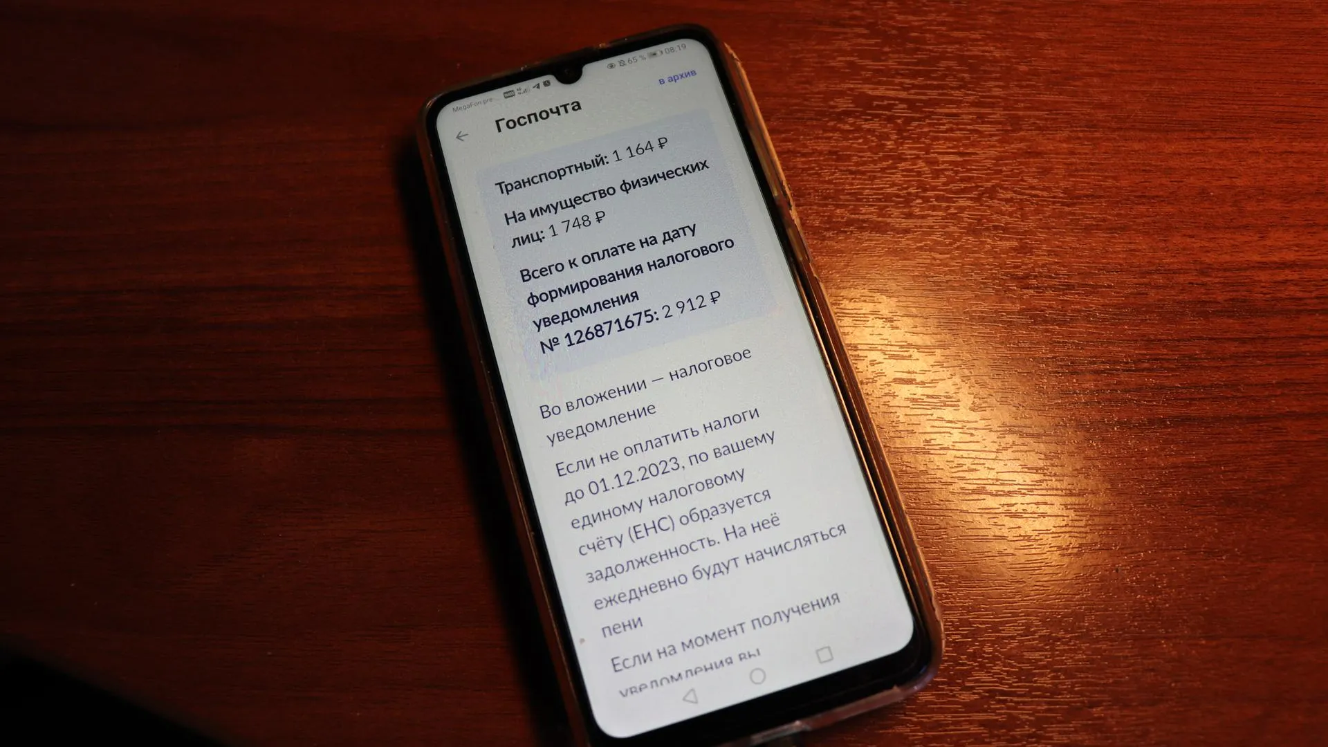 Фото: Василий Тремасов