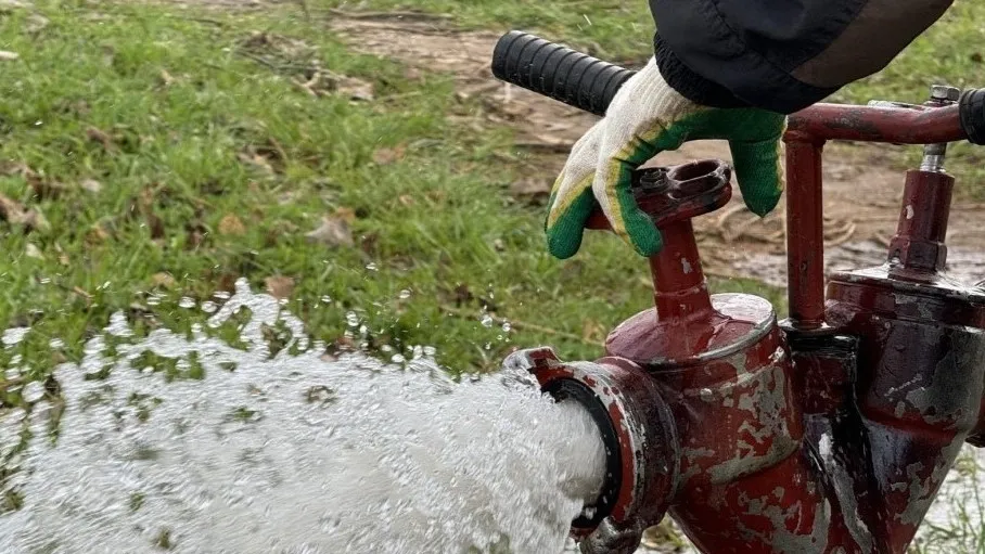 Фото: пресс-служба Администрации Можайского городского округа