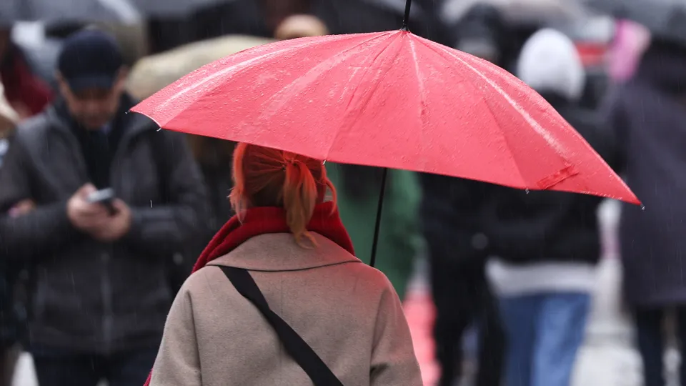 Фото: ТАСС/Михаил Терещенко