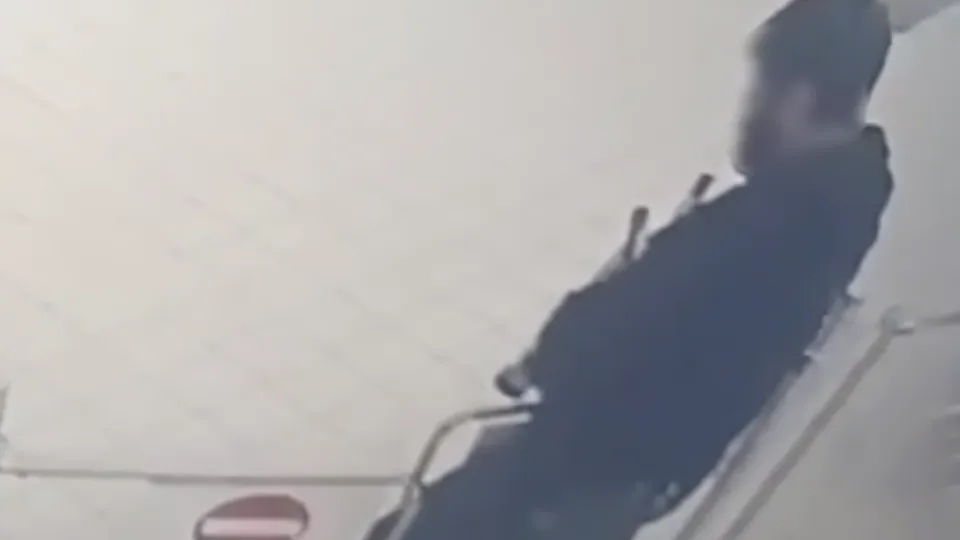 Фото: пресс-служба Росгвардии по Московской области