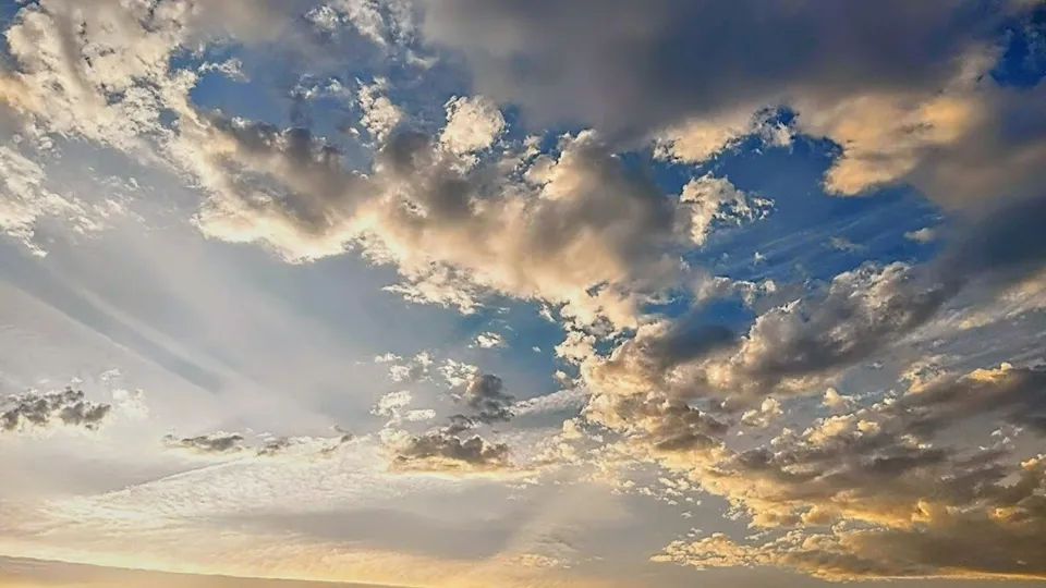 Фото: REGIONS/Алексей Селиверстов