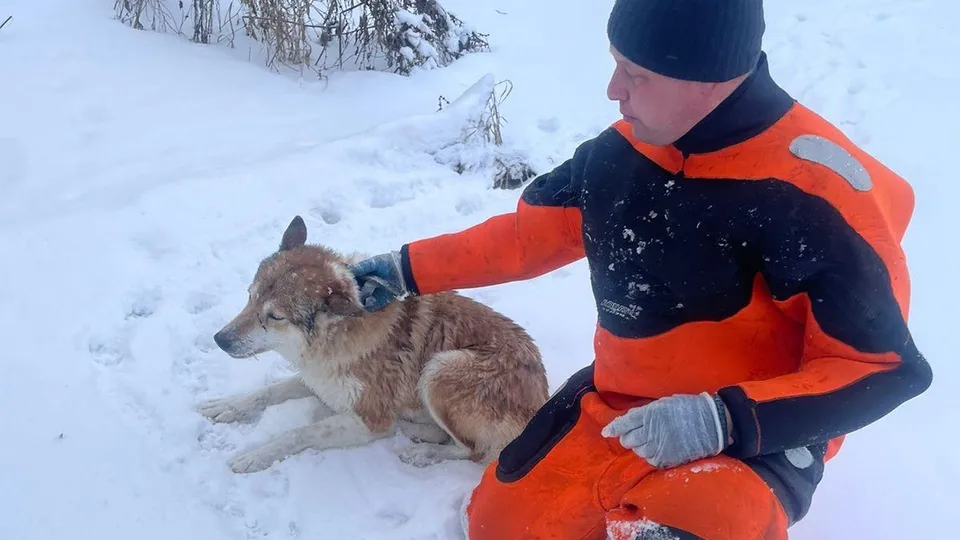 Фото: ГКУ МО «Мособлпожспас»