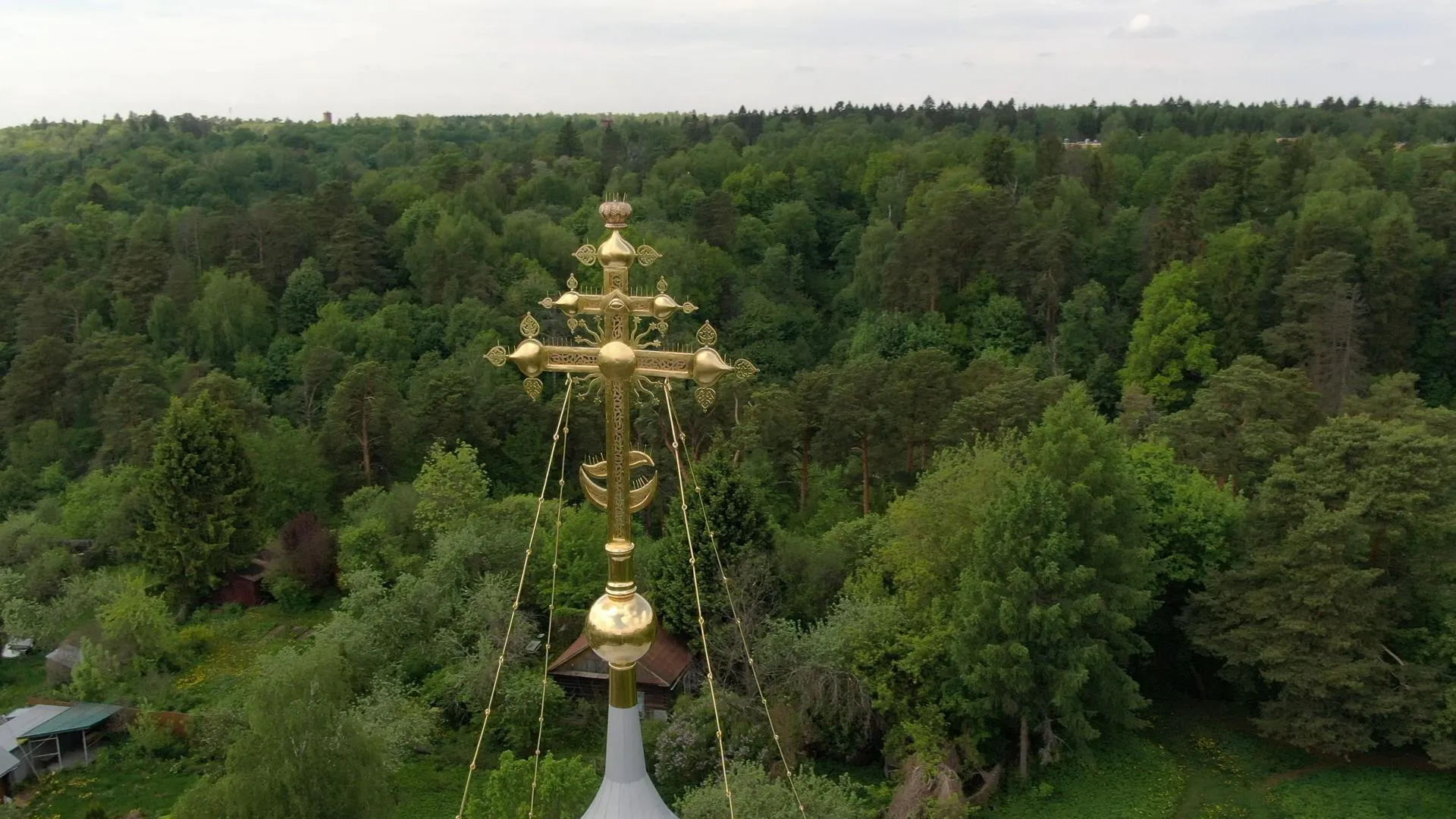 Дарья Московцева