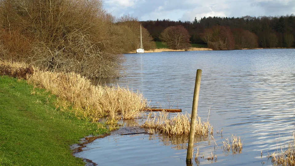 Фото: freepik.com/wirestock