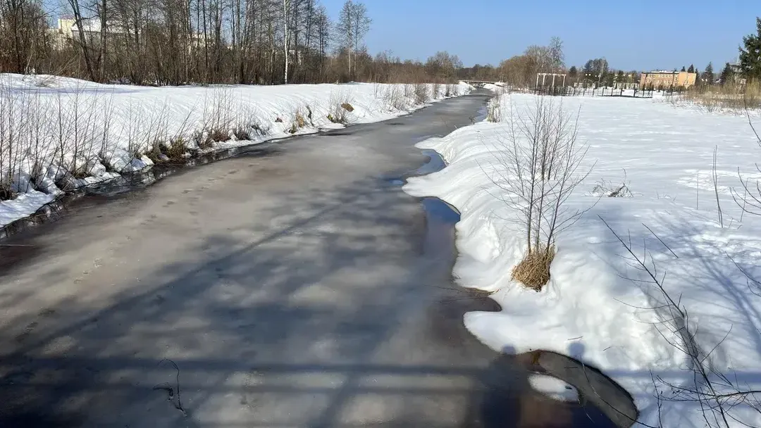 МедиаБанк Подмосковья/Ангелина Стельмух