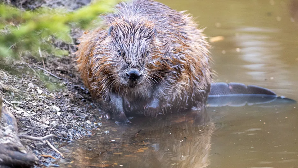 Фото: TASS/IMAGO/Oliver Willikonsky