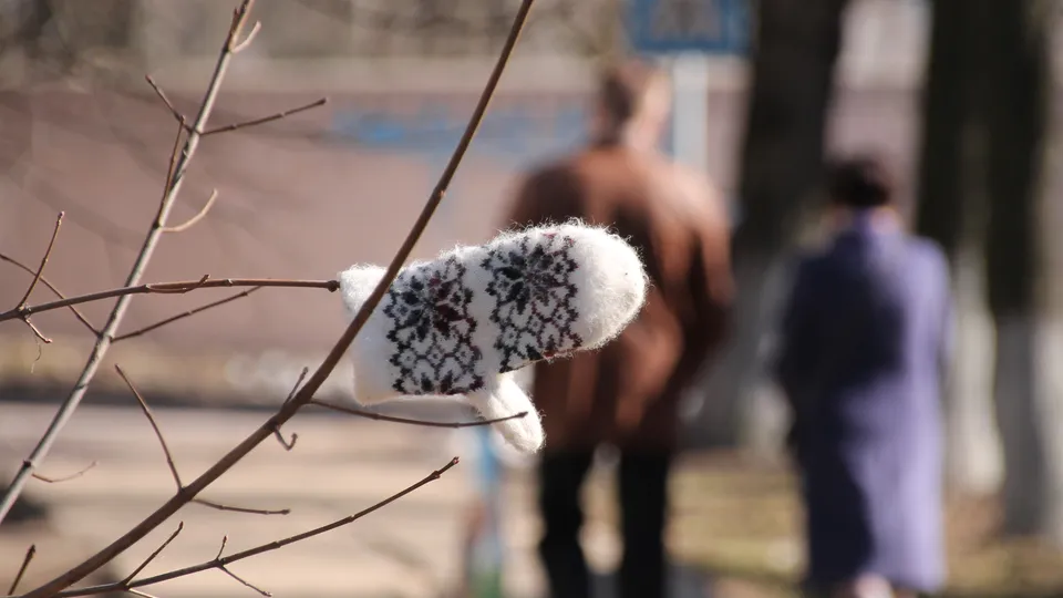 Фото: медиасток.рф