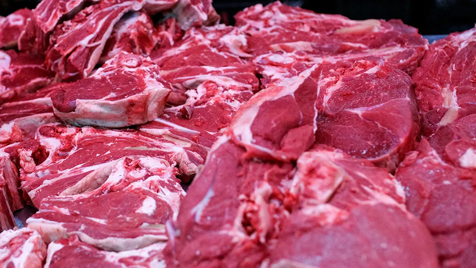 Фото: ТАСС/Евгений Софийчук