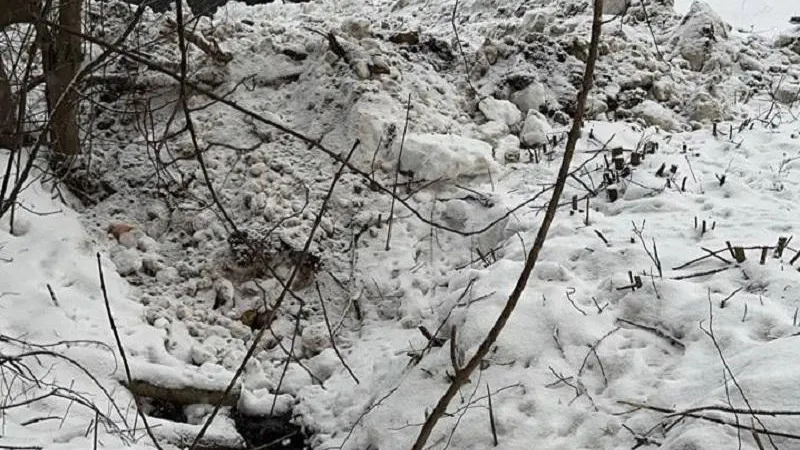 Минэкологии МО