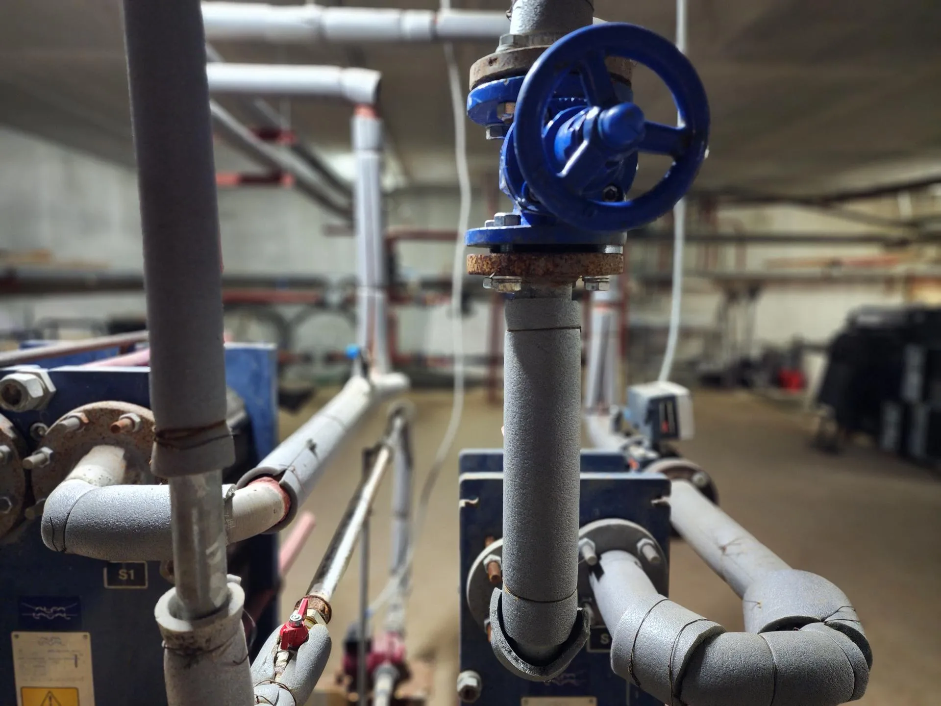 Фото: МедиаБанк Подмосковья/Ирина Моисеева